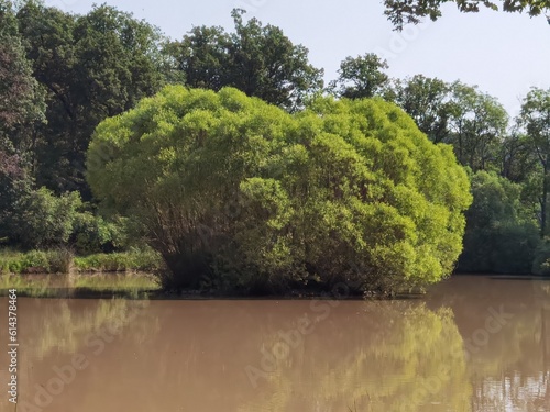 Landscape and nature view to the Bavarian Wolfsee in the Steigerwald mountains in middle franconia in summer