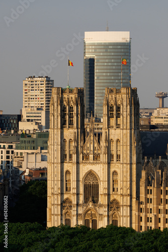 Cathedral of St. Michael and St. Gudula in Brussels, Belgium , seen from the rooftops