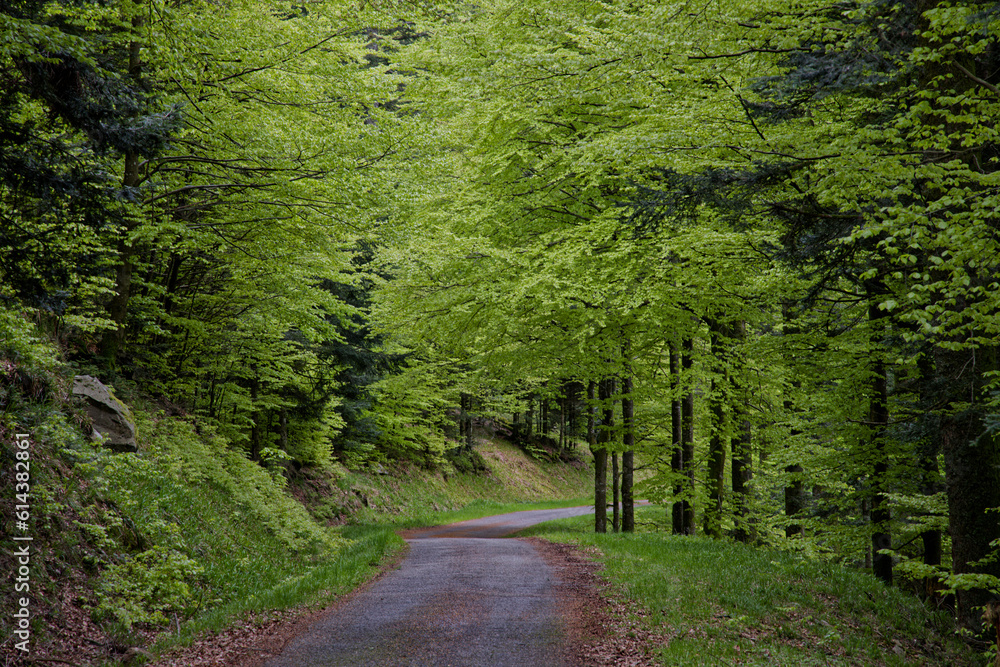 Naklejka premium Route de montagne