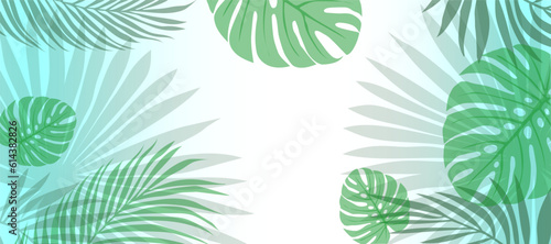 Vector botanical background. Summer green tropical leaves of palm and monstera on a white background. Abstract background for banner, wall decor.
