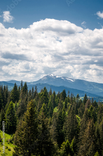 Beautiful Carpathian mountain landscape. Summer in the mountains.