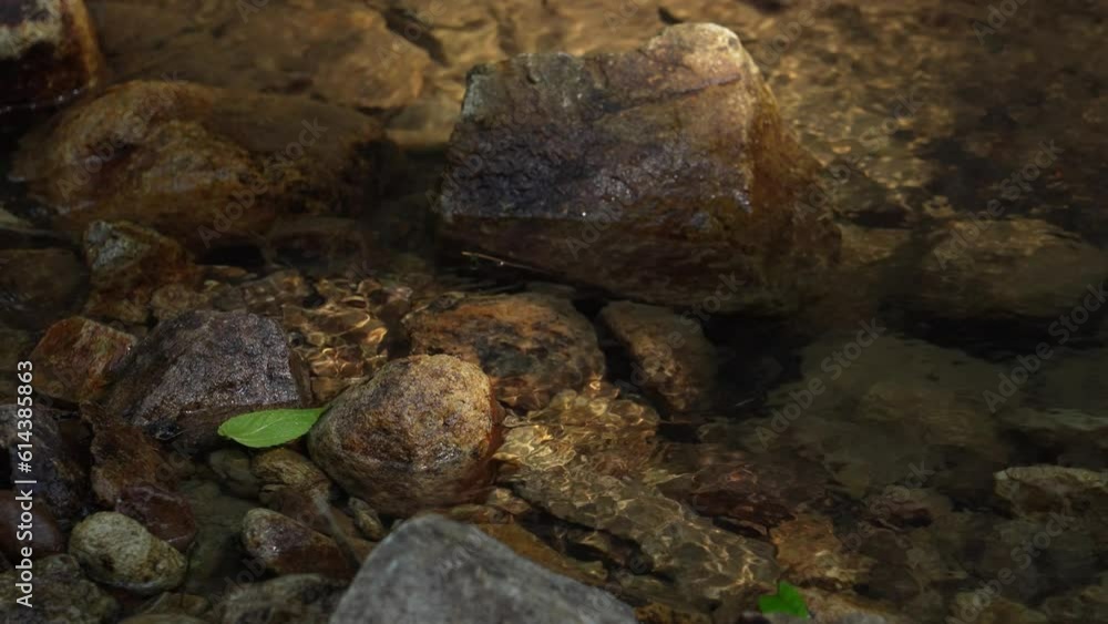 In the forest, natural crystal clear spring water and stream, sunshine In the forest, natural crystal clear spring water and stream, sunshine