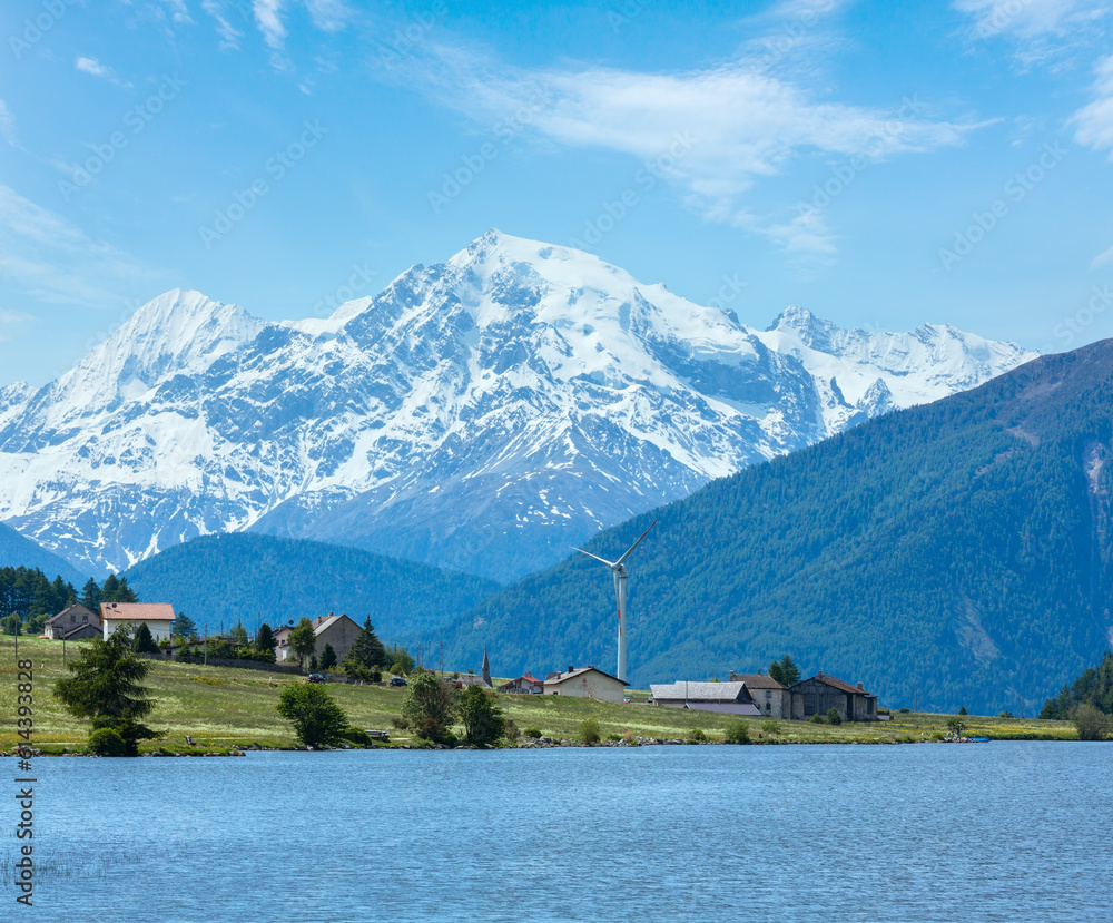 Summer Reschensee view with blossoming dandelion Alpine meadow (Italy)
