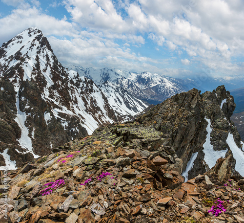 Mountain view from the Karlesjoch cable ski lift upper station (3108m., near Kaunertal Gletscher on Austria-Italy border) with alp flowers  over precipice and clouds photo