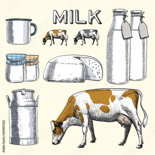 Vector realistic traditional and retro style dairy cows and dairy products and traditional dairy farming related objects