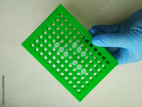 green plate with microtest tubes, PCR analysis, scientific experiment