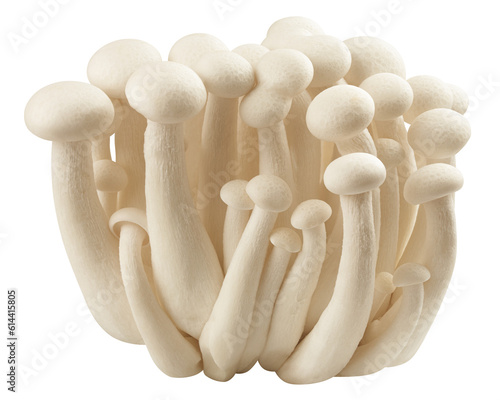 Shimeji mushroom, white beech mushrooms, isolated on white background, full depth of field photo