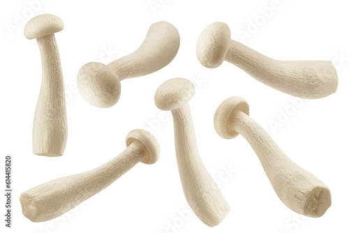 Shimeji mushroom, white beech mushrooms, isolated on white background, full depth of field