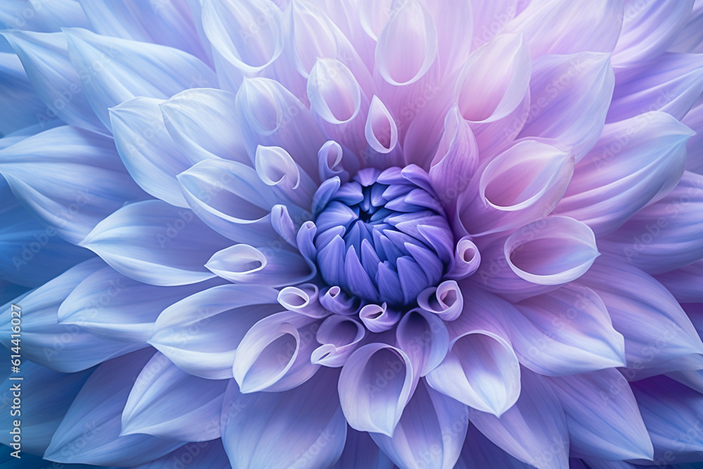 blue purple flower