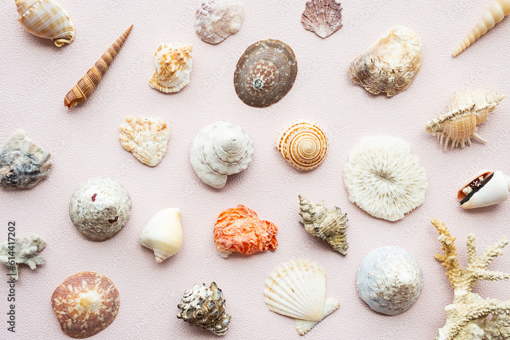 Seashells and corals set. Marine pattern. Seashells and corals set. Marine pattern.