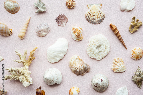 Seashells and corals set. Marine pattern.