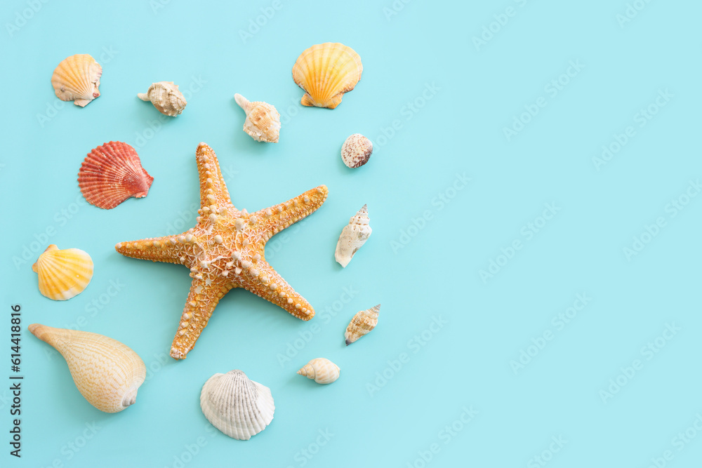 nautical concept with starfish and seashells over blue background nautical concept with starfish and seashells over blue background