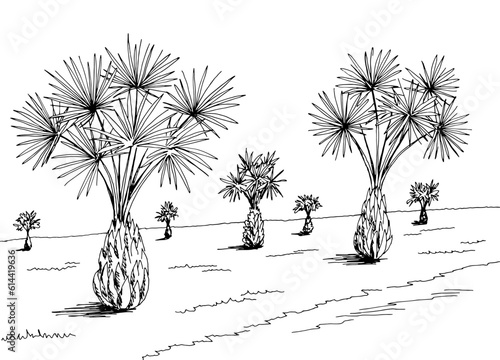 Palm grove plantation graphic black white landscape sketch illustration vector 