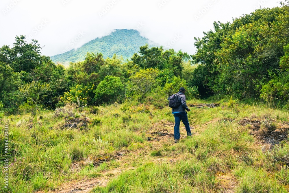 Rear view of a hiker against the background of Mount Gahinga in Mgahinga Gorilla National Park, Uganda