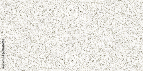 Vector modern terrazzo floor texture mixed black white gray color stone .The structure of porous stone texture, pebble stone background.	