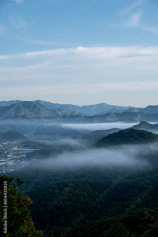 雲海 雲海