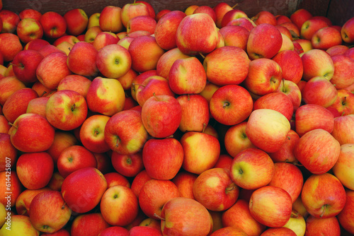 Organic Ambrosia apples at a farmers market photo