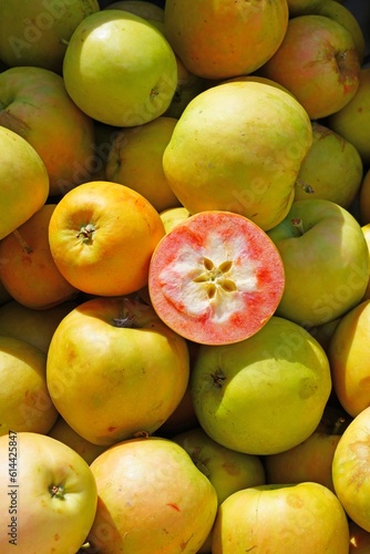 Pink Punch apples with pink flesh at a farmers market