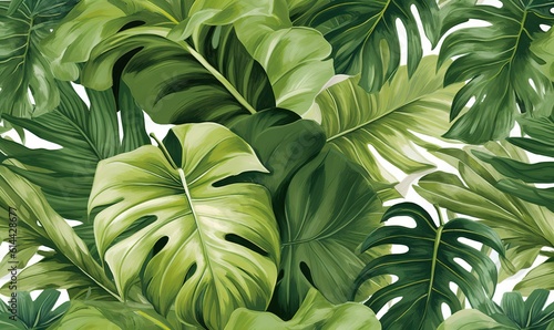  a large green leafy plant on a white background with a white background and a green plant in the middle of the image, with a white background. generative ai