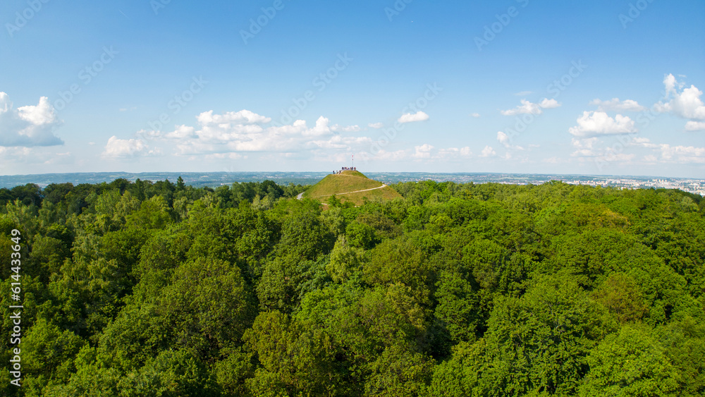 Mound in the forest