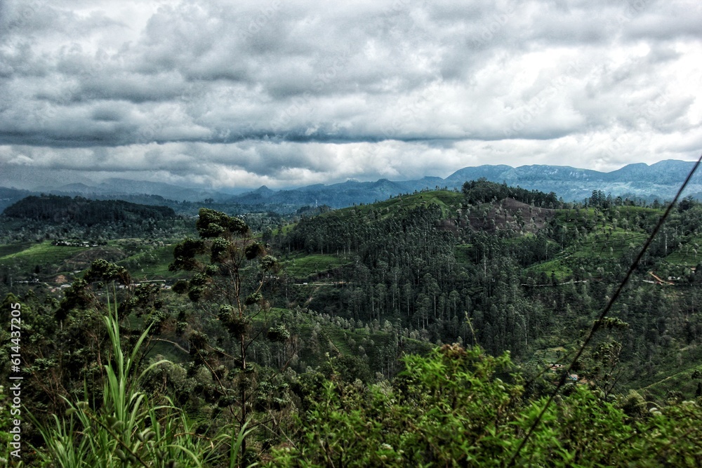 Obraz premium landscape with clouds