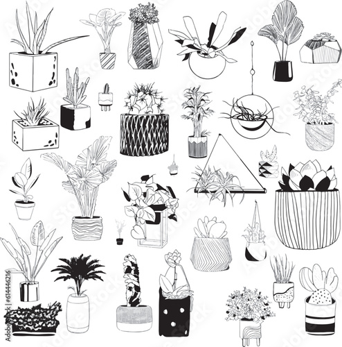 A set of indoor plants in flowerpots and hanging in a black outline for business cards, books, booklets, illustrations, postcards, invitations
