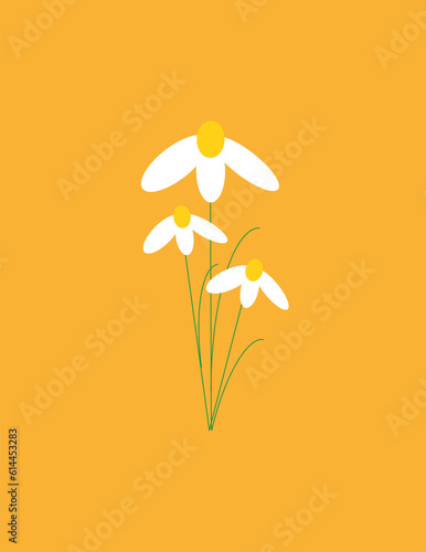 Chamomile on a yellow background