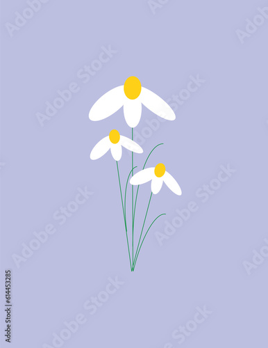 Chamomile on a purple background