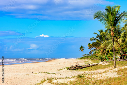 Deserted beach surrounded by coconut trees and with a rudimentary vessel typical of the northeast region of Brazil called a raft on the sand in Serra Grande, Bahia