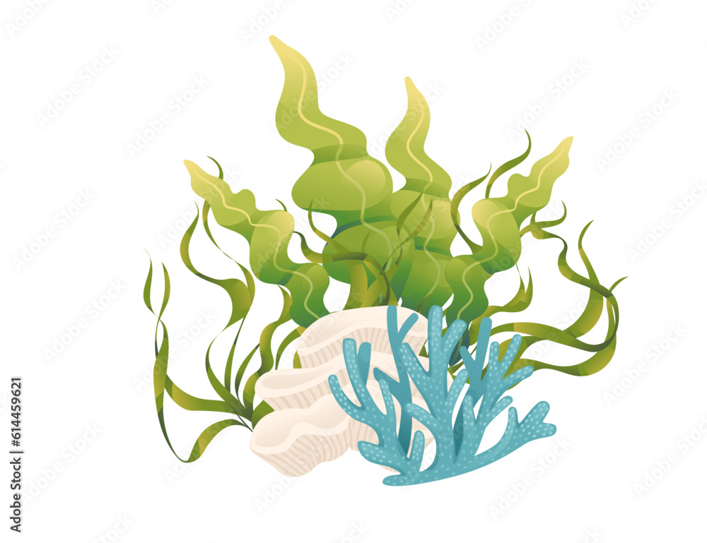 Obraz premium Plants and aquatic marine seaweed vector illustration isolated on white background