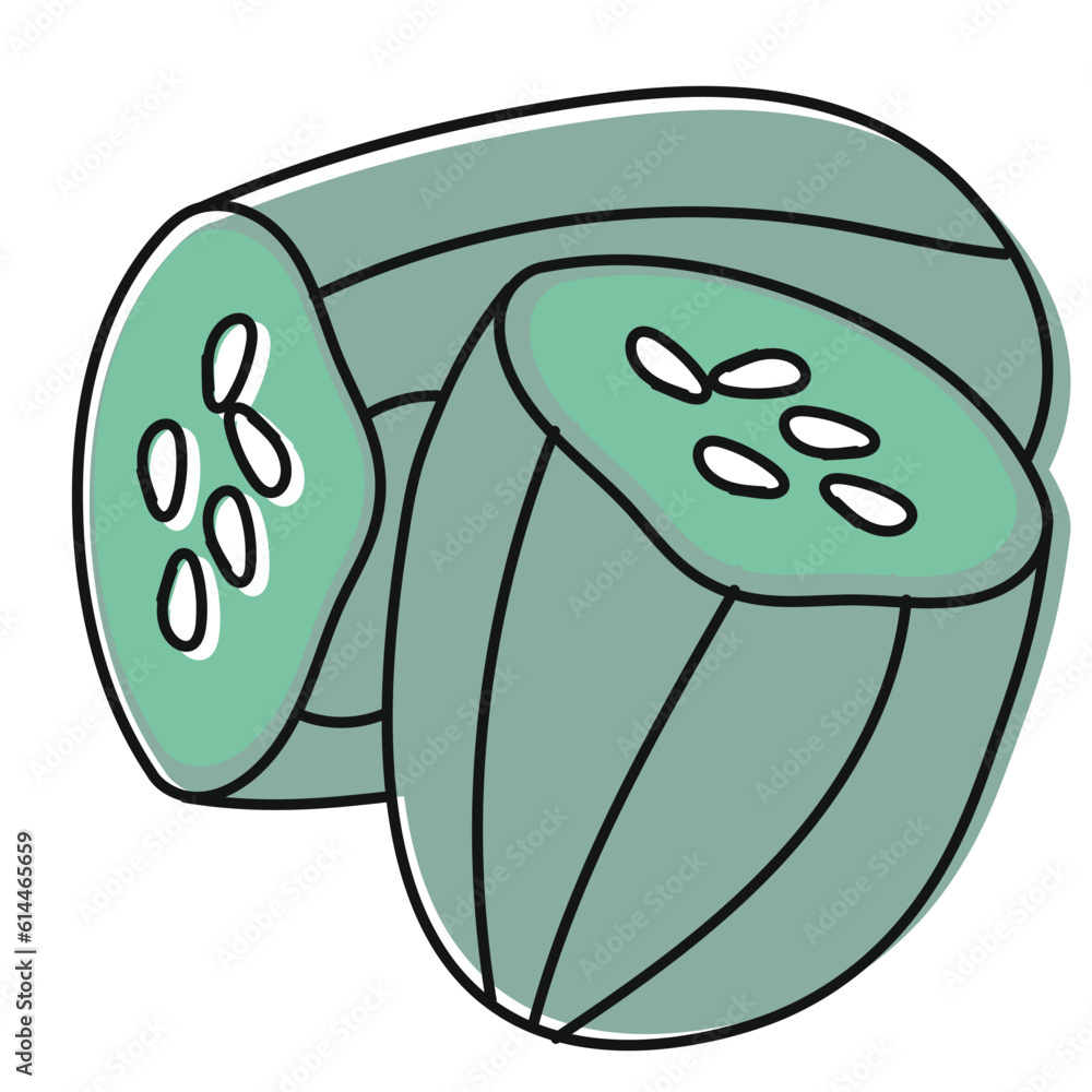 cucumber hand drawn vector illustration cucumber hand drawn vector illustration