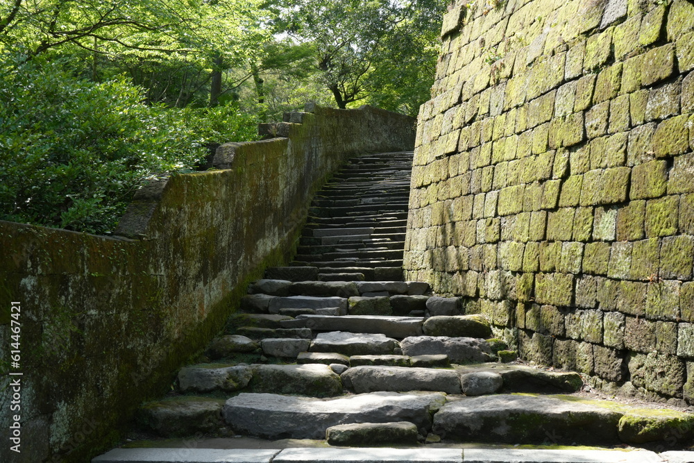 Stone Steps and Traditional Japanese Garden at Senganen Garden Park in Kagoshima, Japan - 日本 鹿児島 仙巌園 日本庭園 石段