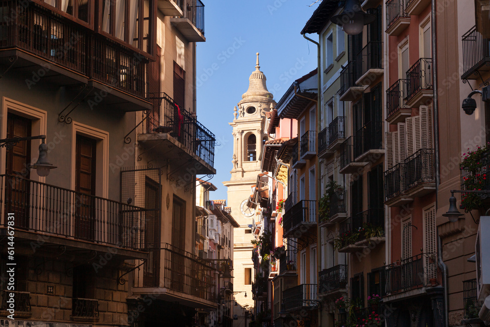 Pamplona cathedral seen from Curia street