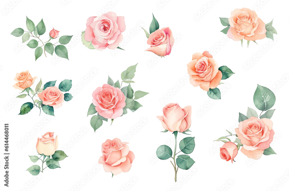 set of roses watercolor illustration. hand drawn, isolated white background, flower clipart, for bouquets, wreaths, arrangements, wedding invitations, anniversary, birthday, postcards, greetings, card
