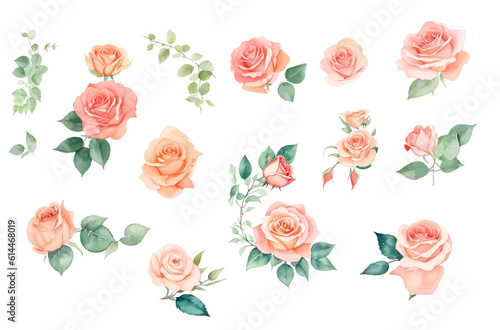 set of roses watercolor illustration. hand drawn, isolated white background, flower clipart, for bouquets, wreaths, arrangements, wedding invitations, anniversary, birthday, postcards, greetings, card
