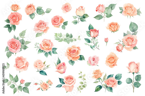 set of roses watercolor illustration. hand drawn, isolated white background, flower clipart, for bouquets, wreaths, arrangements, wedding invitations, anniversary, birthday, postcards, greetings, card