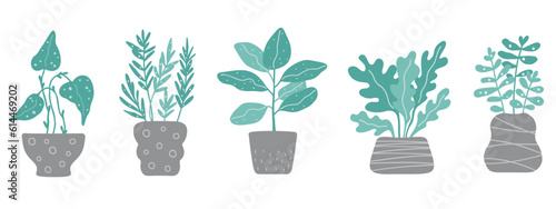 Set of trendy potted home plants. Set of indoor houseplants in scandi style. Cacti, begonia, palm, monstera, ficus. Colored flat vector illustration.