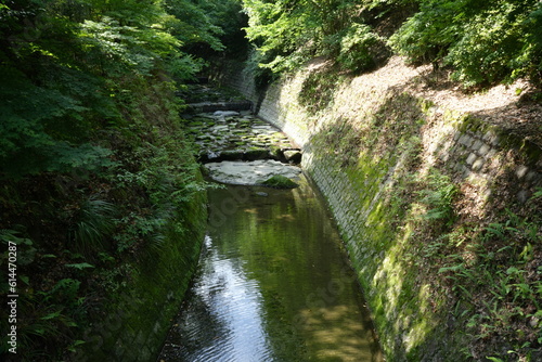Traditional Japanese Garden and Lush Creek River at Senganen Garden Park in Kagoshima  Japan -                                         