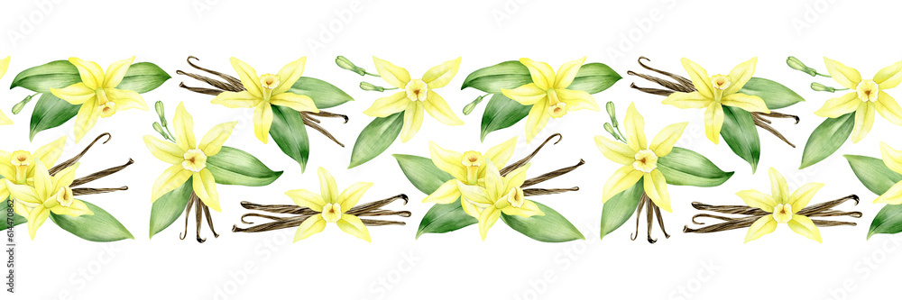 Yellow vanilla flowers, pods and leaves. Watercolor seamless border. Isolated. Orchid blossom. For greeting cards, postcard, menu, packaging design