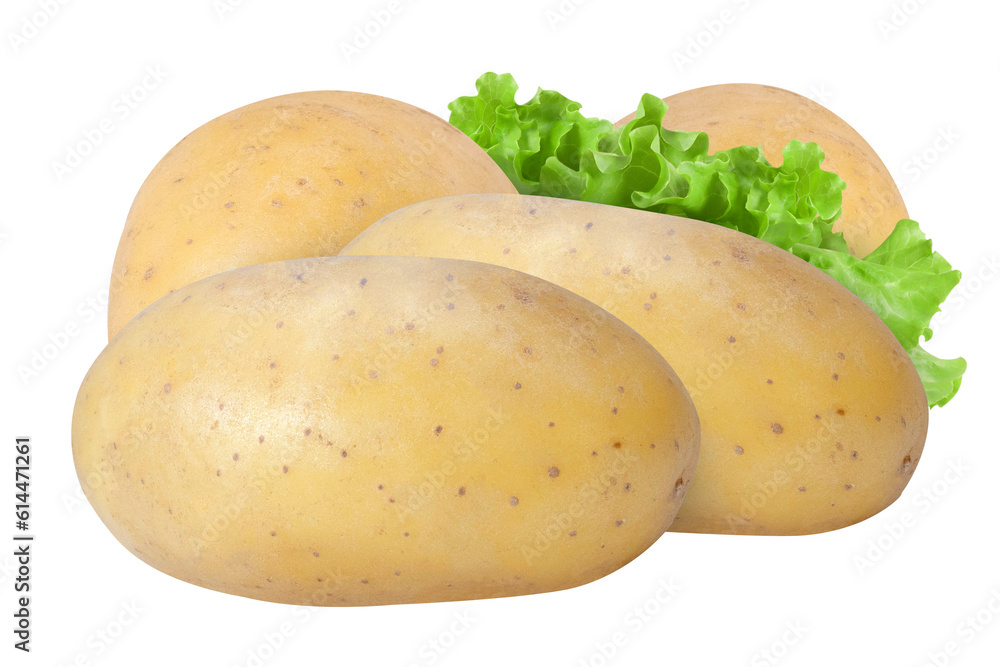 Group of potatoes isolated on white background Group of potatoes isolated on white background