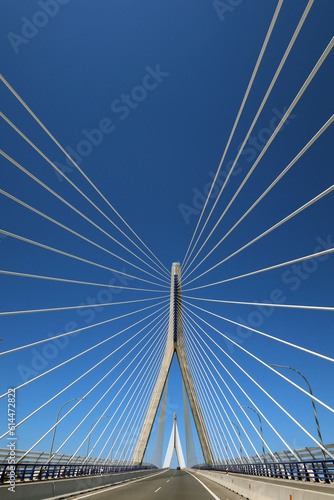 Steel and concrete suspension bridge
