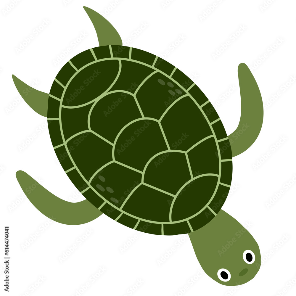 Fototapeta premium Turtle