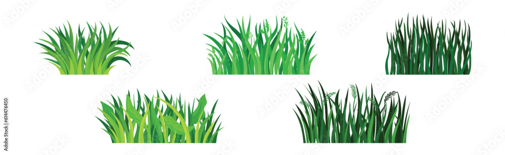Tufts of Green Fresh Grass as Nature Element Vector Set Tufts of Green Fresh Grass as Nature Element Vector Set