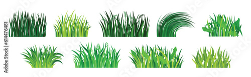 Tufts of Green Fresh Grass as Nature Element Vector Set