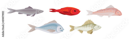 Fish as Gill-bearing Aquatic Animal Used as Seafood Vector Set