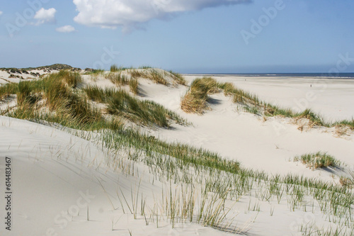 Landscape with sand dunes at wadden islands in the Netherlands. photo