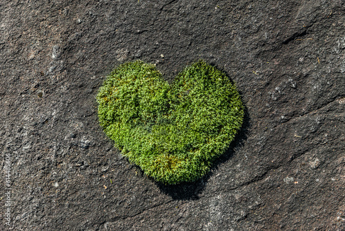 Grünes Herz aus Moos auf einem Fels