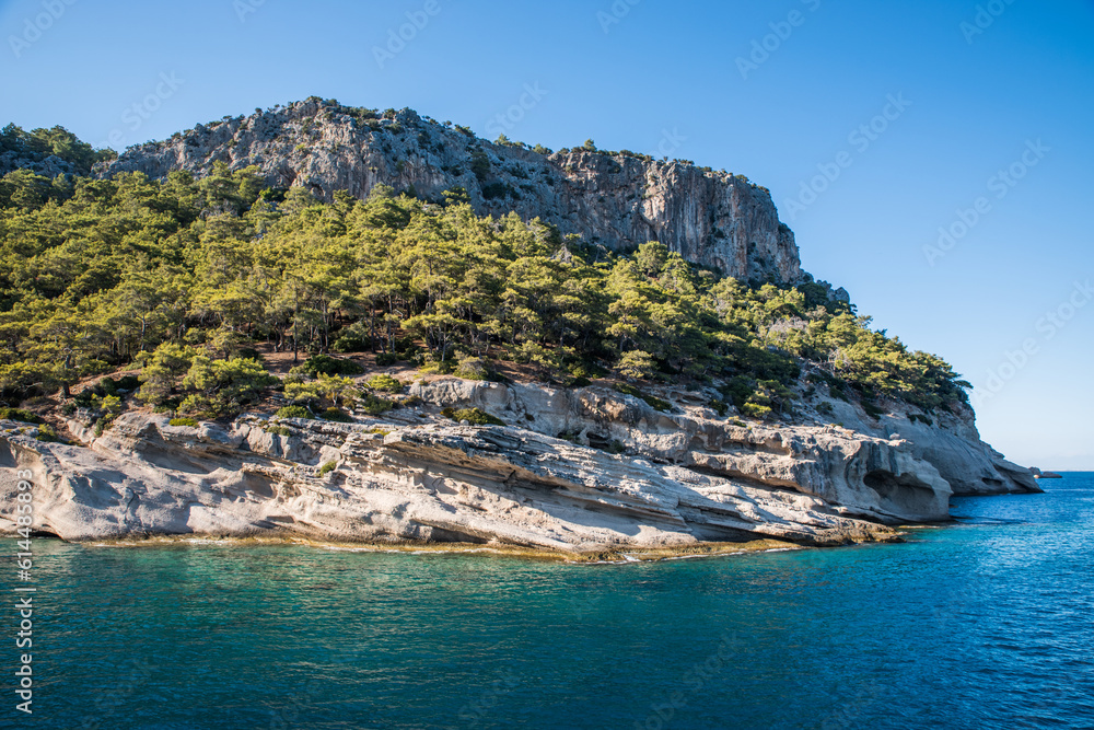 Rocky seashore with grottoes, overgrown with pines