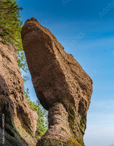 Dinosaur Head Rock Formation