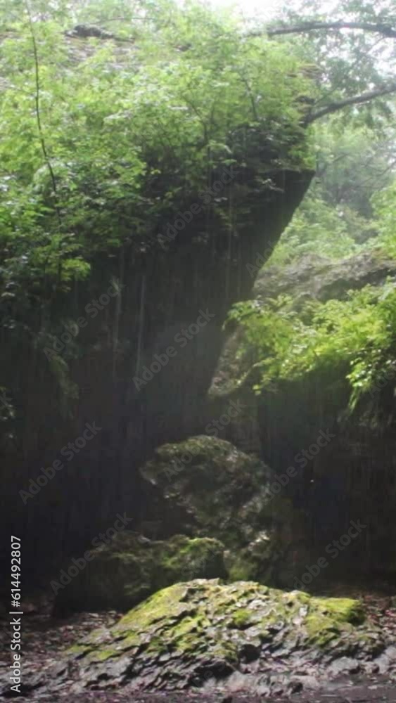 Mountain river flowing in a canyon in springtime Mountain river flowing in a canyon in springtime